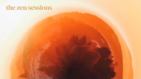 The Hip Abduction - The Zen Sessions Visual EP