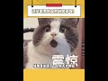 你跟他廢什麽話啊？！現在是黃金時刻 #deltaforce #三角洲行动