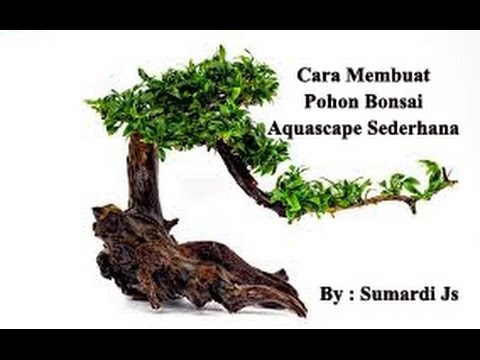 Tutorial Cara  Buat  Hiasan  Aquarium  Murah Hardscape Pohon 