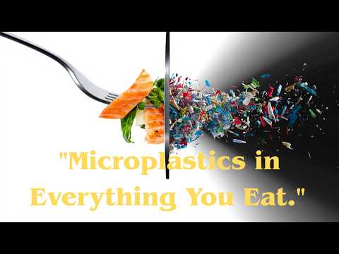Www.Foodpyramid.Com