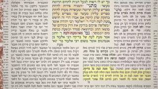 הדף היומי מסכת גיטין דף ל"א 31