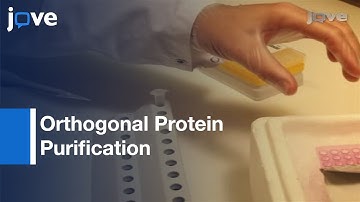 Orthogonal Protein Purification Facilitated By Small Bispecific Affinity Tag l Protocol Preview