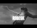 Reynmen Leila Slowed 