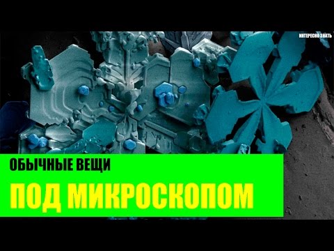 Обычные вещи под микроскопом