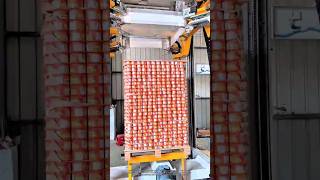 This Machine Shrinks an Entire Pallet Load with One Giant Plastic Sleeve #manufacturing Wealth