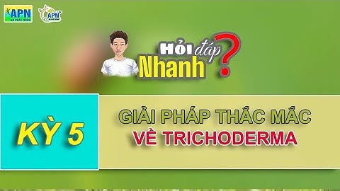APN HỎI ĐÁP NHANH #5 - GIẢI ĐÁP THẮC MẮC VỀ  NẤM TRICHODERMA TRÊN ĐẤT LÚA
