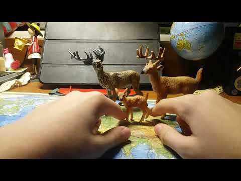 Распаковка оленя😋