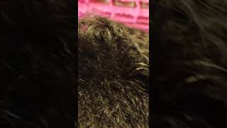 Sundariye Sundariye Ramya Joo Hot