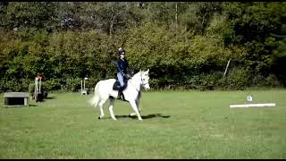 Willow flatwork