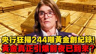 澳聯儲三連加息！全球央行單季狂掃244噸黃金創紀錄！黃金底部結構性支撐已經全面成形？黃金最強蓄力窗口究竟還有多遠？