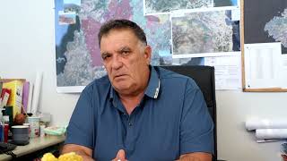 «Καλά τα νέα» για την φυσική αναγέννηση των καμένων εκτάσεων
