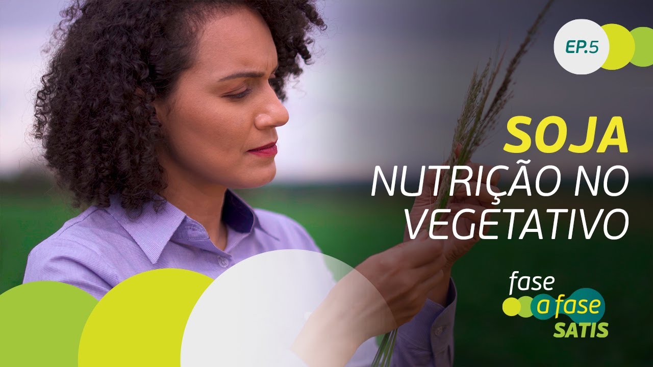 Soja: Nutrição no vegetativo - Episódio 5 - Fase a Fase Satis