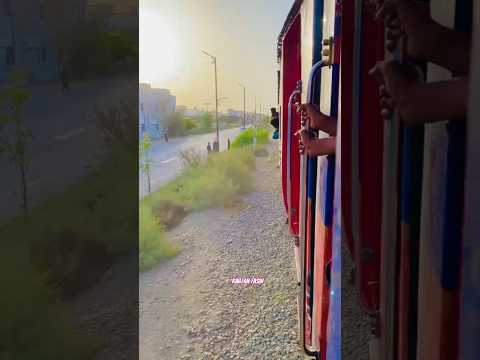 Journey in JAMALO EXPRESS #shortsfeed #feeds #shortsviral #viralshorts