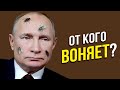 Навозные новости