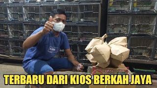 LATEST UPDATE ON PRICES OF SERIWANG, NILTAVA, TENGKEK BUTO, SIRI SIRI, PB PRAMUKA KIOS