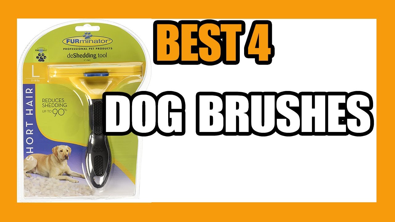 BEST 【 DOG BRUSH FOR SHORT HAIR 】REVIEWS AND BUYING GUIDE 2021 AMAZON 🐶