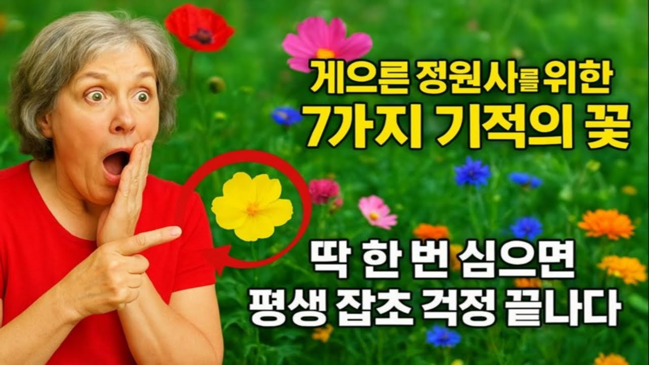 게으른 정원사를 위한 7가지 기적의 꽃! 딱 한 번 심으면 평생 잡초 걱정 끝납니다