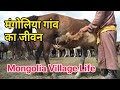 Mongolia village Life in Hindi