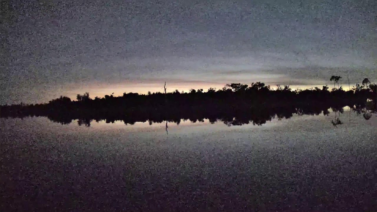 Project Storm Live Stream