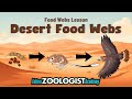 Sonoran Desert Food Web Quiz