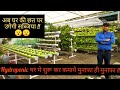 Earn only profit by starting hydroponic at home soil less farming  kitchen garden  hello farmer