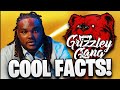 COOL Facts About Grizzley Gang Gaming