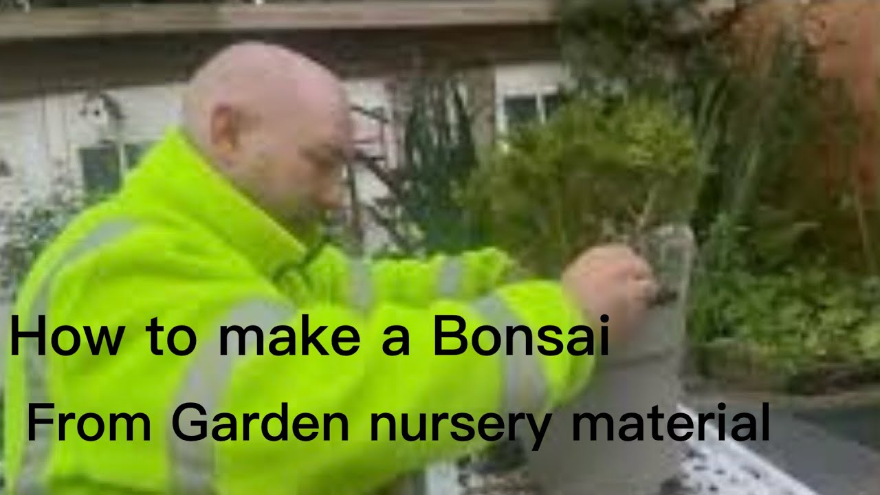 How to create a bonsai from nursery stock (challenge) time to vote guys