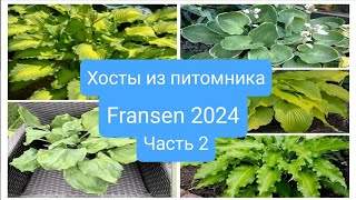 :    Fransen, 2024. . 2