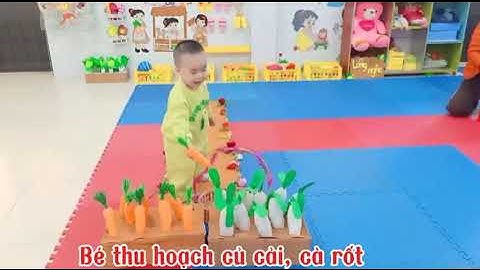 HĐ: Thu hoạch cà rốt - củ cải lớp NT - Trường MN Hoà Bình- Đồng Hỷ- Thái Nguyên