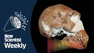 Ancient human Homo naledi had advanced culture | New Scientist Weekly podcast 197