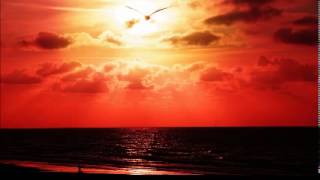 NICE - 04.03.2012 Micrologue vs Light Breath @ Strident Sounds