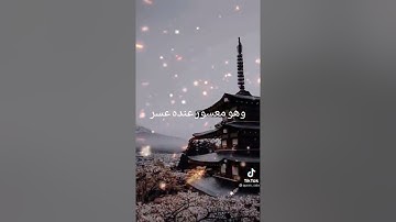 سورة اللّيل / الشيخ بدر المشاري