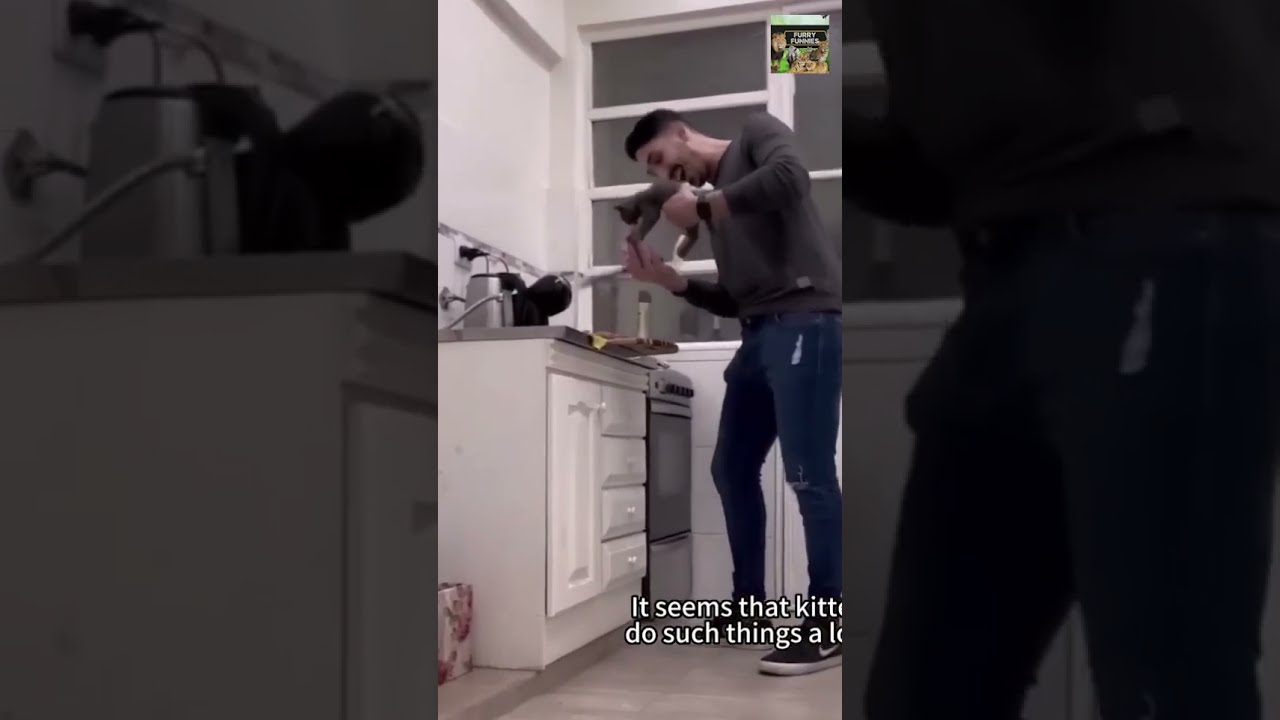 Dogs Acting Like Humans 🐶Try Not to Laugh 