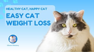 Healthy Cat, Happy Cat: Weight Loss Made Easy! by Meow Mastery 9 views 2 months ago 5 minutes, 6 seconds