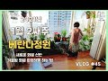 [엄마의 베란다정원🌱#45]겨울밤 화분 따뜻하게 하는 방법, 새로운 화분 선반, 1월 2째주 베란다정원,Mom’s balcony garden