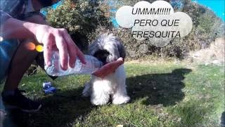 EMBALSE DE LOS ALMORCHONES, DISFRUTANDO EN NAVACERRADA