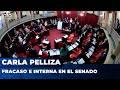 💥 FRACASO E INTERNA EN EL SENADO | Editorial de Carla Pelliza