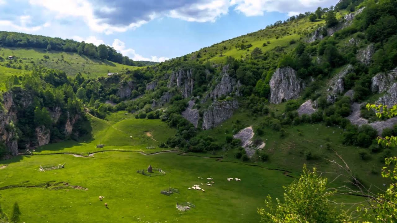 HAI,HAI,HAIDI,HAI(Pe sub flori mă legănai...)-Doru Stănculescu