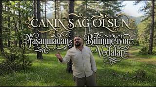 Yaşanmadan Bilinmiyor Vedalar - Batuhan Kırgız (Tiktok Trap Remix) Canın Sağ Olsun