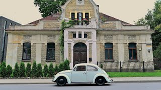 Player Profile Unlocking the True Value of the 1964 VW Beetle