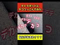 【100均】話題のDAISOルアーが神すぎた‼︎買わなきゃ損です‼︎#shorts#漁師#キャンプ#釣り