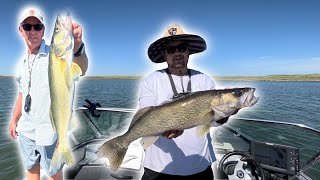 Late Summer Walleyes on Lake Oahe