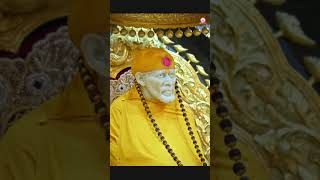 Shree Sai Baba's Shej Arati Darshan #saibaba #shirdi #maharashtra #catmemes #trending #viral