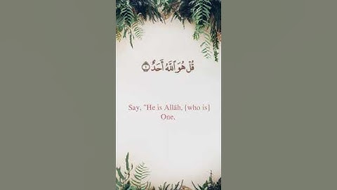 سورة الإخلاص || القارئ أحمد بن طالب بن حميد l #english #religion