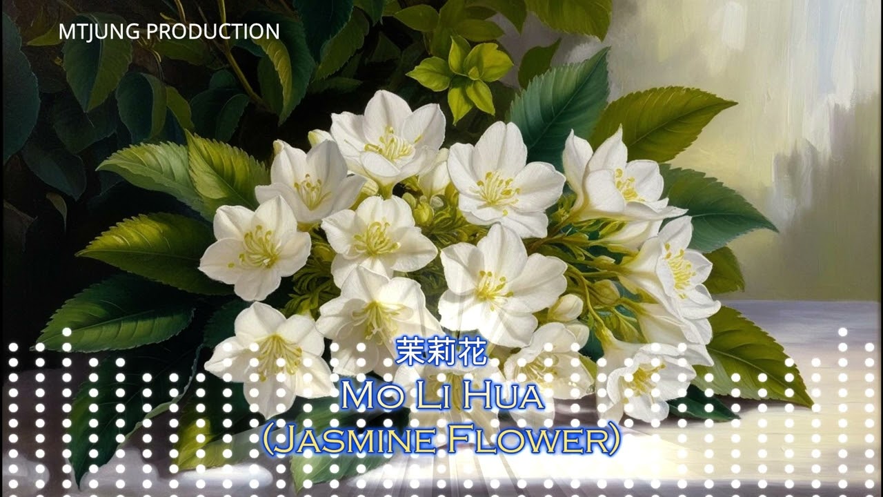 茉莉花 - Mo Li Hua (Jasmine Flower) Remix by DJ Licky Liu feat. MTJUNG STARS