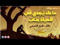 ما عاد ي جدي في الحياة ع تاب  975 