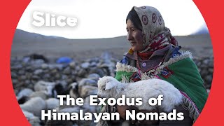 Stay or Leave: Kharnak Nomads Forced to Make a Decision | SLICE