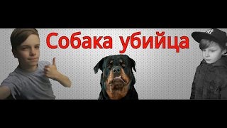 Фильм - Собака убийца Фильм - Собака убийца