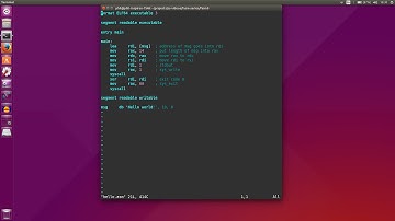 fasm 0 - Introduction