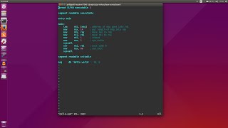 fasm 0 - Introduction